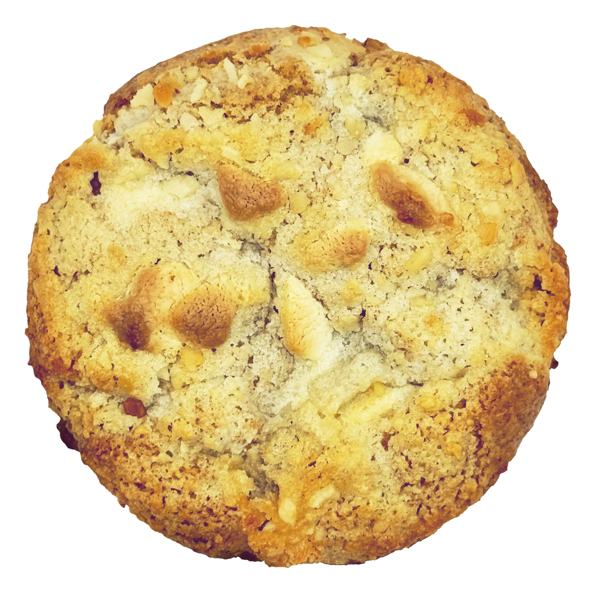 White Chocolate Macadamia