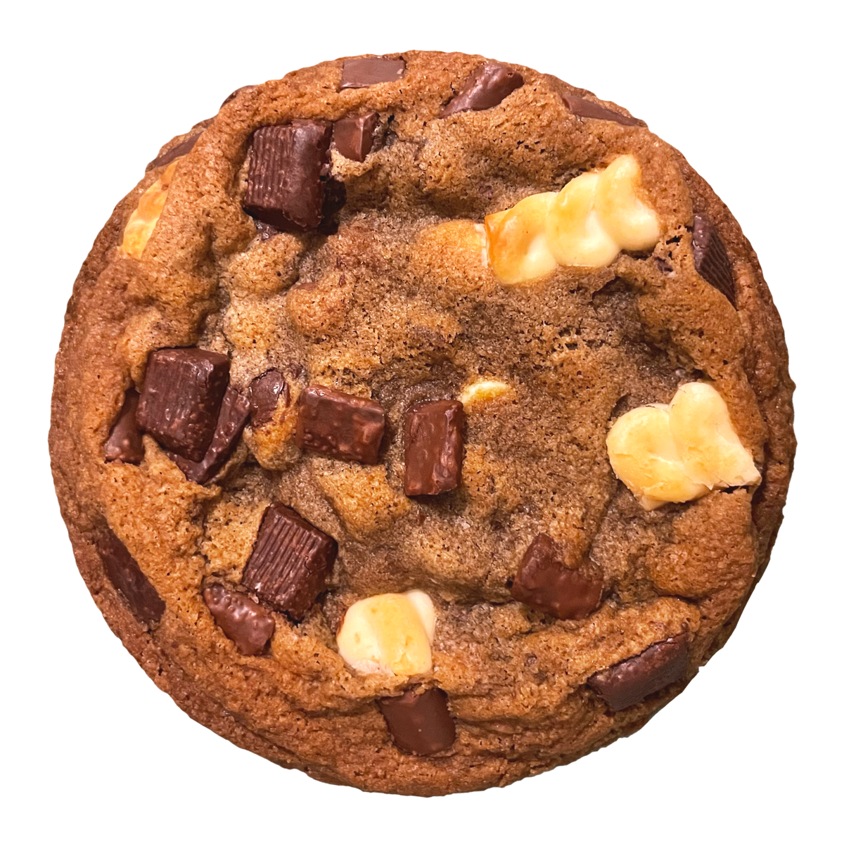 Signature Chocolate Chip